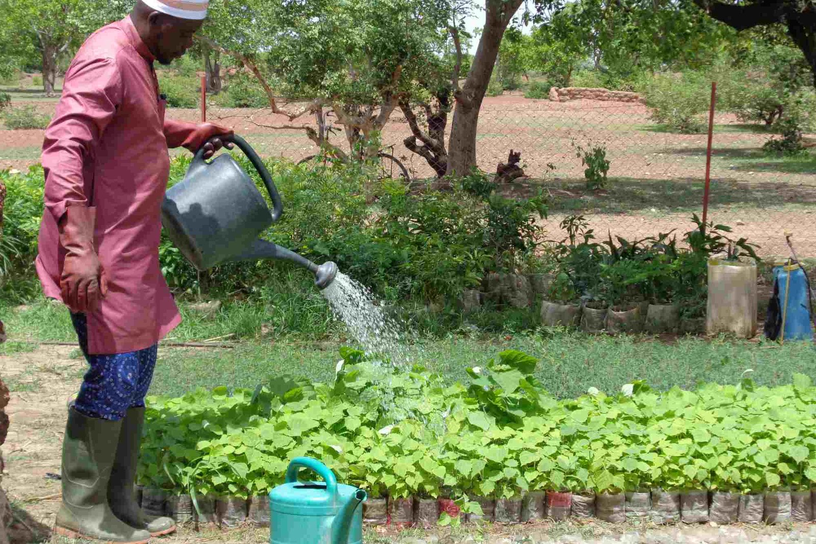 تأثيرات مناخية قيد المتابعة